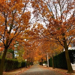 Meet your Posher, Afaf